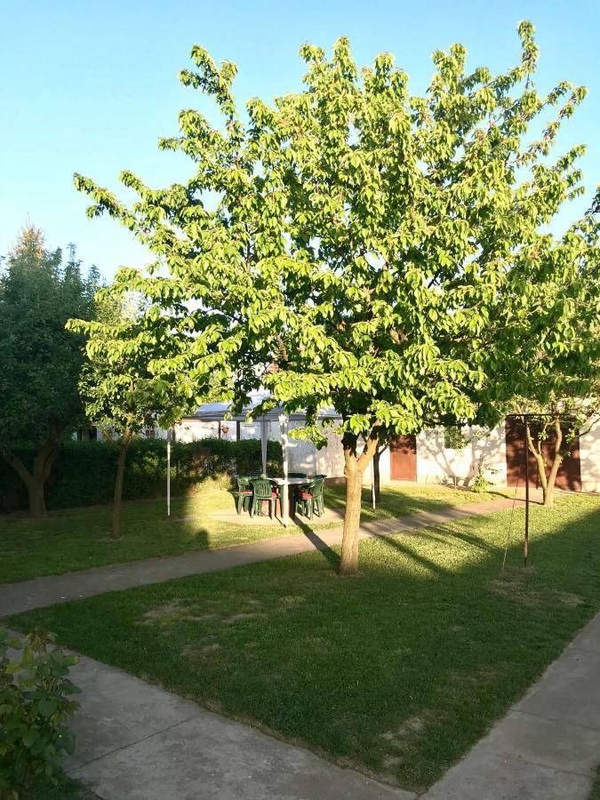 Apartmani Matosevic Ivankovo Esterno foto
